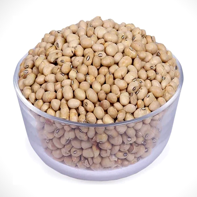 SOYBEAN SEED